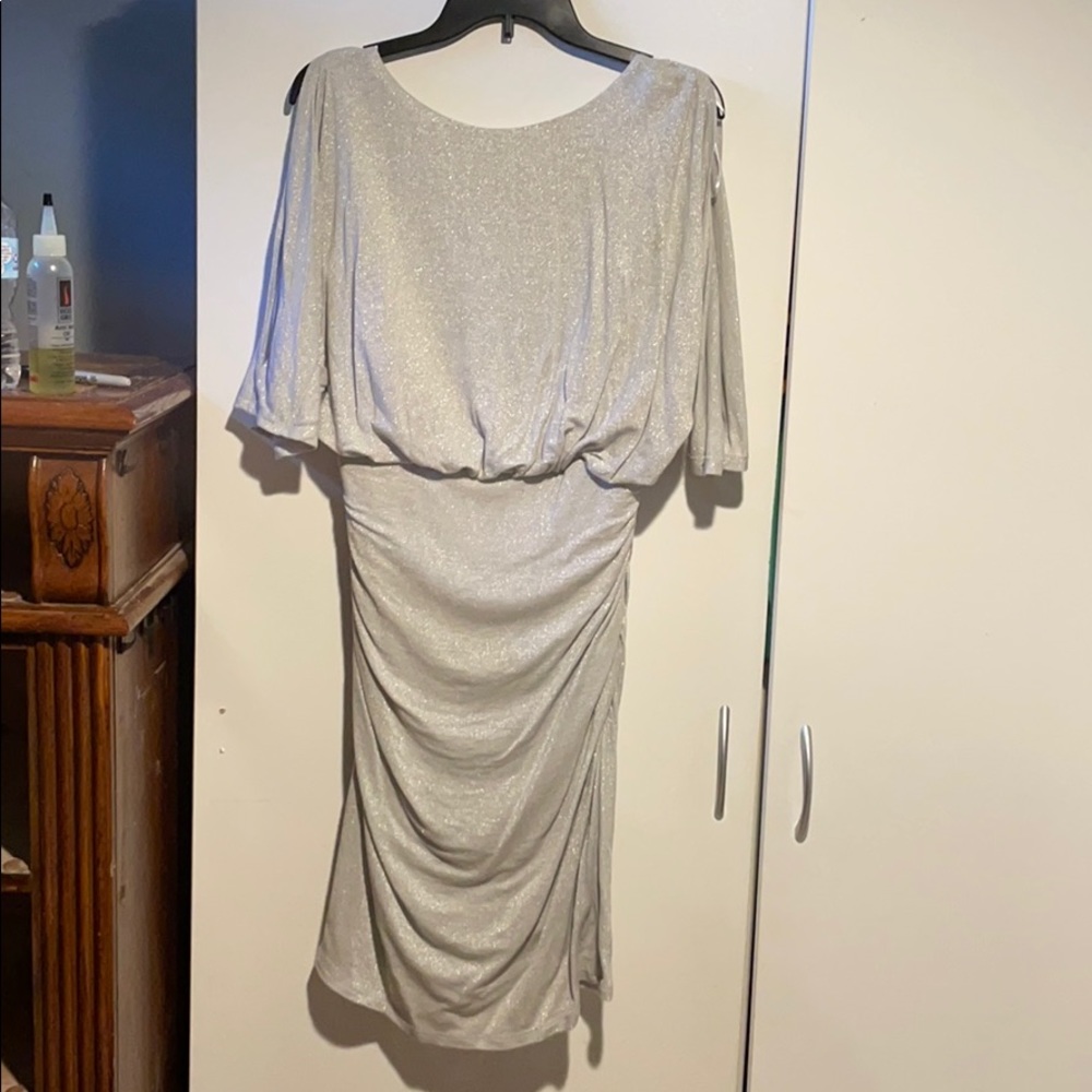 Glittery Sliver Dress